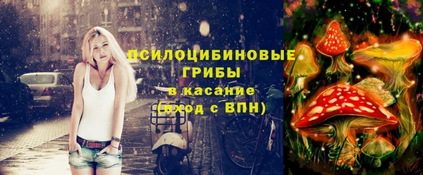 героин Покачи