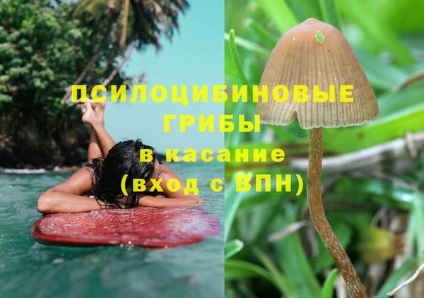 бошки Покров