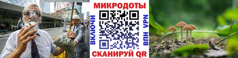 omg рабочий сайт  Нижнеудинск  Псилоцибиновые грибы Psilocybine cubensis 